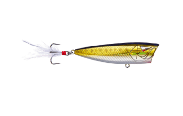 Ark Topwater Popper
