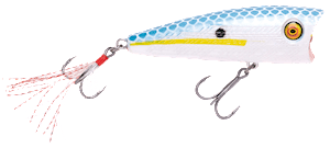 V-Pop 80 Popper